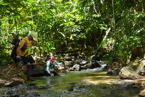 BIB: 
                            <button type="button" onclick="openModal(21844138)" class="btn btn-primary btn-sm float-right btn-popup" data-toggle="modal" data-target=".modal-high-quality">
                        <i class="fas fa-shopping-cart"></i> Add to Cart
                    </button>
                                            <button type="button" onclick="isThisMe(21844138, true)" class="btn btn-success btn-sm float-right btn-popup btn-isme hidden" data-toggle="tooltip" data-placement="bottom" title="นี่คือรูปของคุณใช่ไหม คลิกที่นี่เพื่อเอาเข้าอัลบั้ม">
                        <i class="fas fa-plus"></i> Add to album
                    </button>
                    <button type="button" onclick="isThisMe(21844138, false)" class="btn btn-warning btn-sm float-right btn-popup btn-isnotme hidden">
                        <i class="fas fa-ban"></i> Remove from album
                    </button>